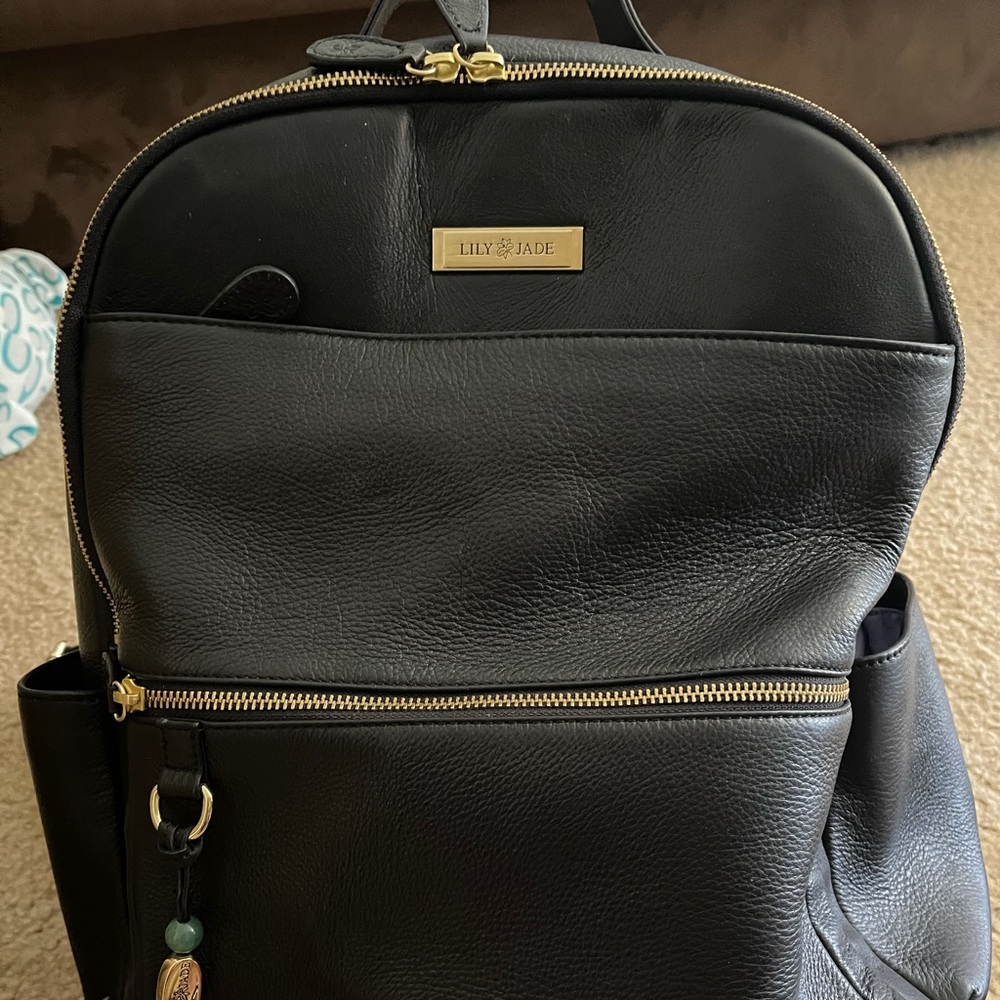Lily Jade large Anna backpack purple lining